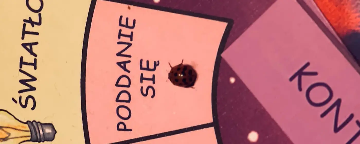 You are currently viewing Zaproś biedronkę 🐞 na Nowy Rok 2025