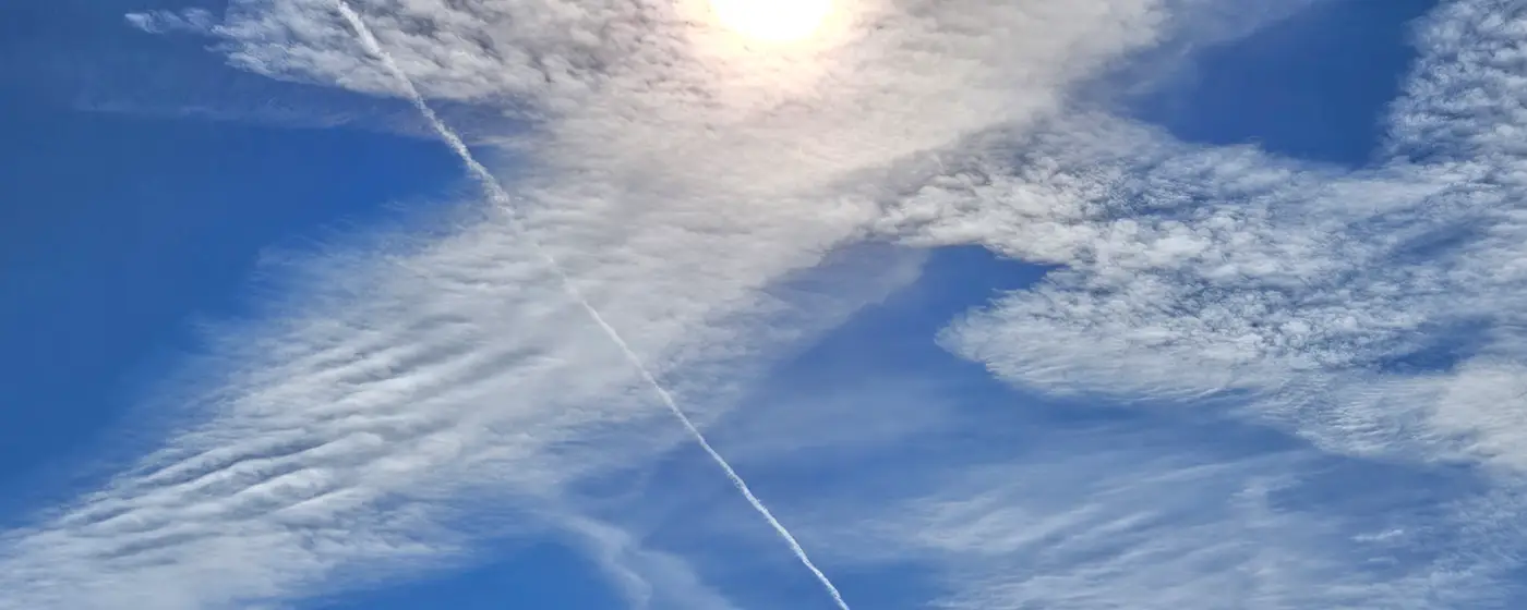 You are currently viewing Jak być wolną?