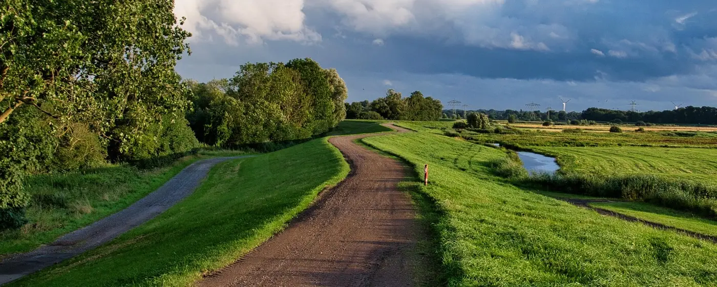 You are currently viewing Jak pokonać przeszkody na swojej drodze?