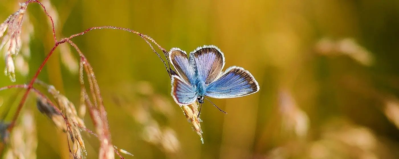 You are currently viewing Gra Satori 11 i 12 października 2025 – wyjdź z utknięcia i stań w mocy!